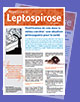 leptospirose revue