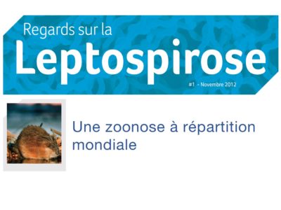 regards-sur-la-leptospirose-1