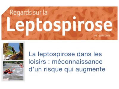 regards-sur-la-leptospirose-5