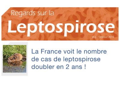 regards-sur-la-leptospirose-6