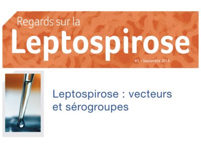 regards-sur-la-leptospirose n°3